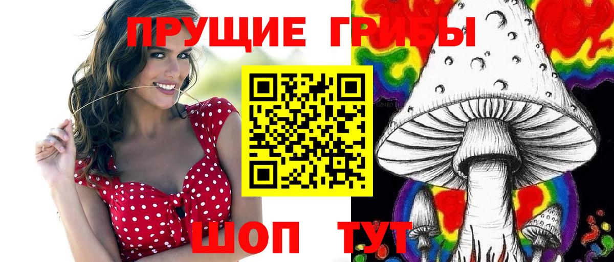 сколько стоит  Псилоцибиновые грибы Cubensis  Галлюциногенные грибы GOLDEN TEACHER  Вход с VPN  Новокубанск 